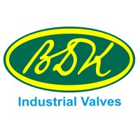 BDK VALVES.jpg